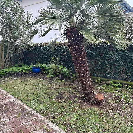 Avec Terrasse En Bord De - Fr-1-494-172 Apartmán *