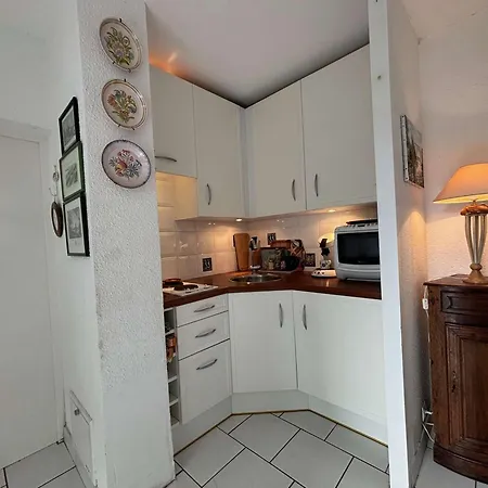 Apartment Avec Terrasse En Bord De - Fr-1-494-172 *